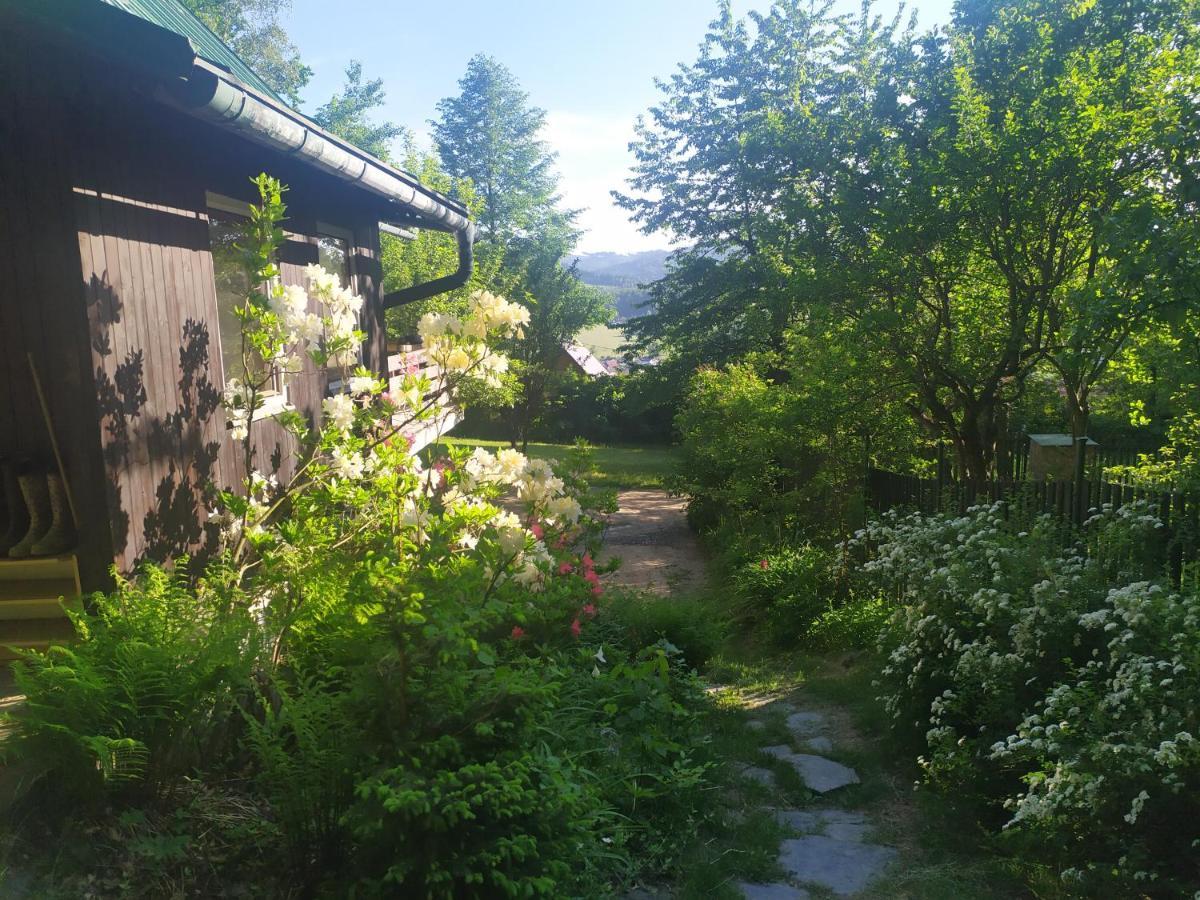 Chata Na Poskle U Lesa S Vyhledem Hutisko Zewnętrze zdjęcie